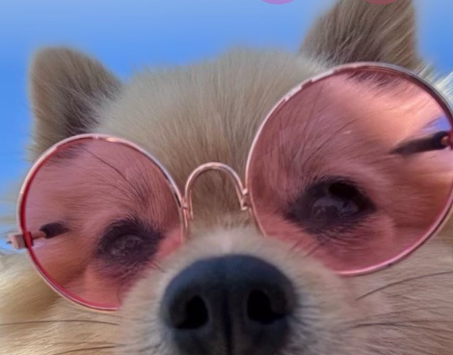 Pavekant (pavel56.lens) Lens social identity (.lens handle) PFP