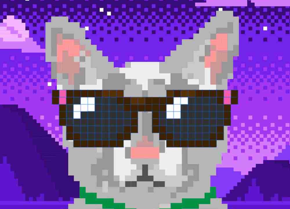 Pom's Farcaster avatar