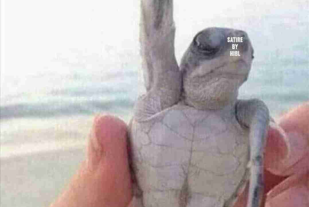 Navi (naviomg) Farcaster social identity (Fname handle) PFP