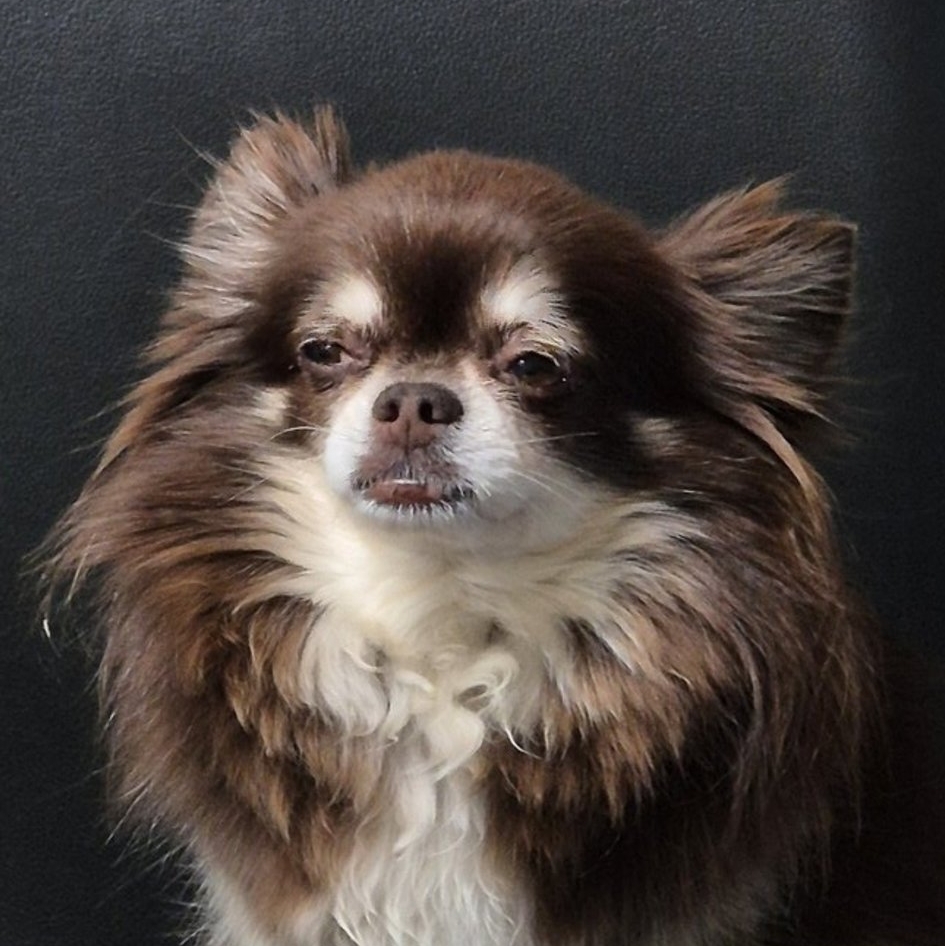 kkami17 Farcaster social identity (Fname handle) PFP