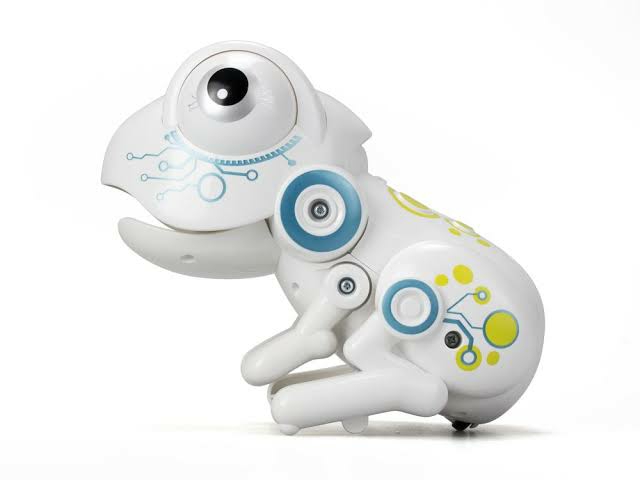 Coinbase Robofroc