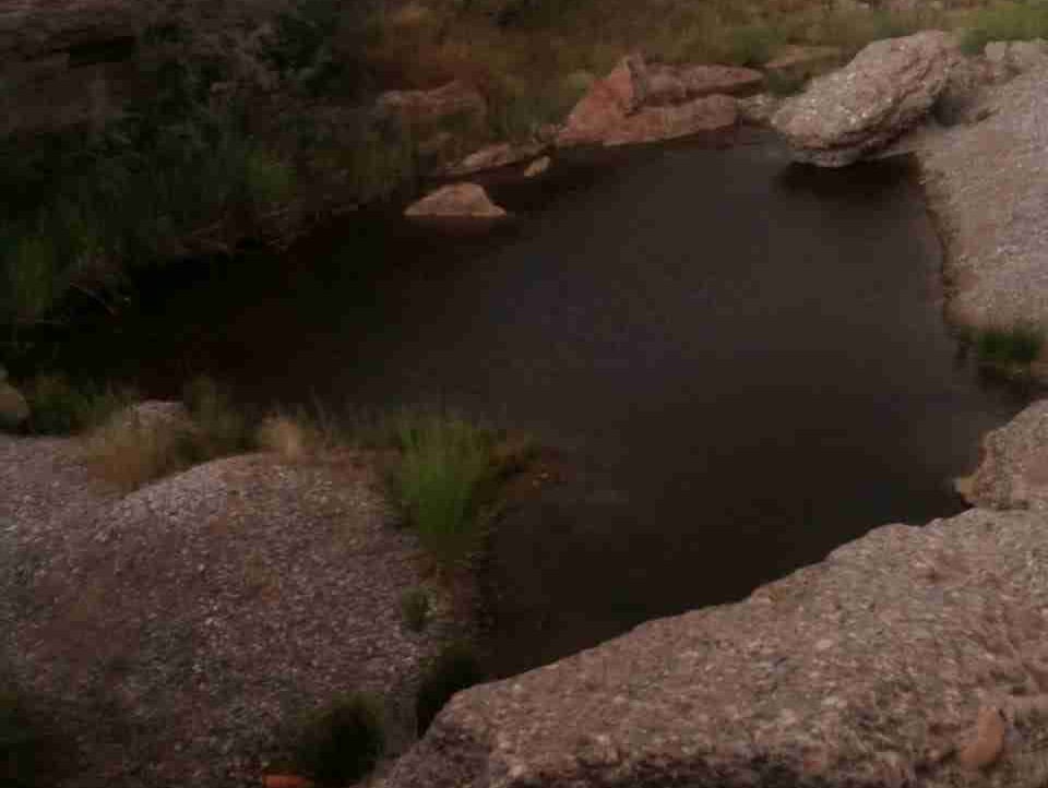 monta (tiktak.lens) Lens social identity (.lens handle) PFP