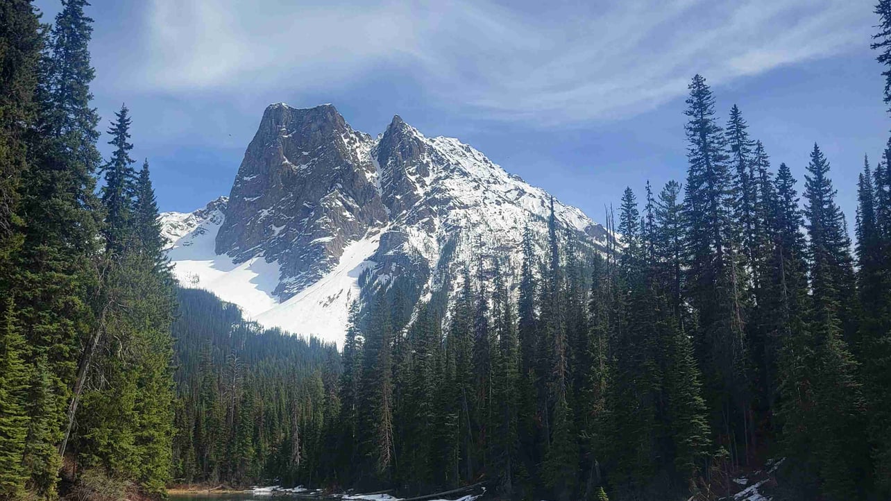 Vitaliy  (vitaha) Farcaster social identity (Fname handle) PFP