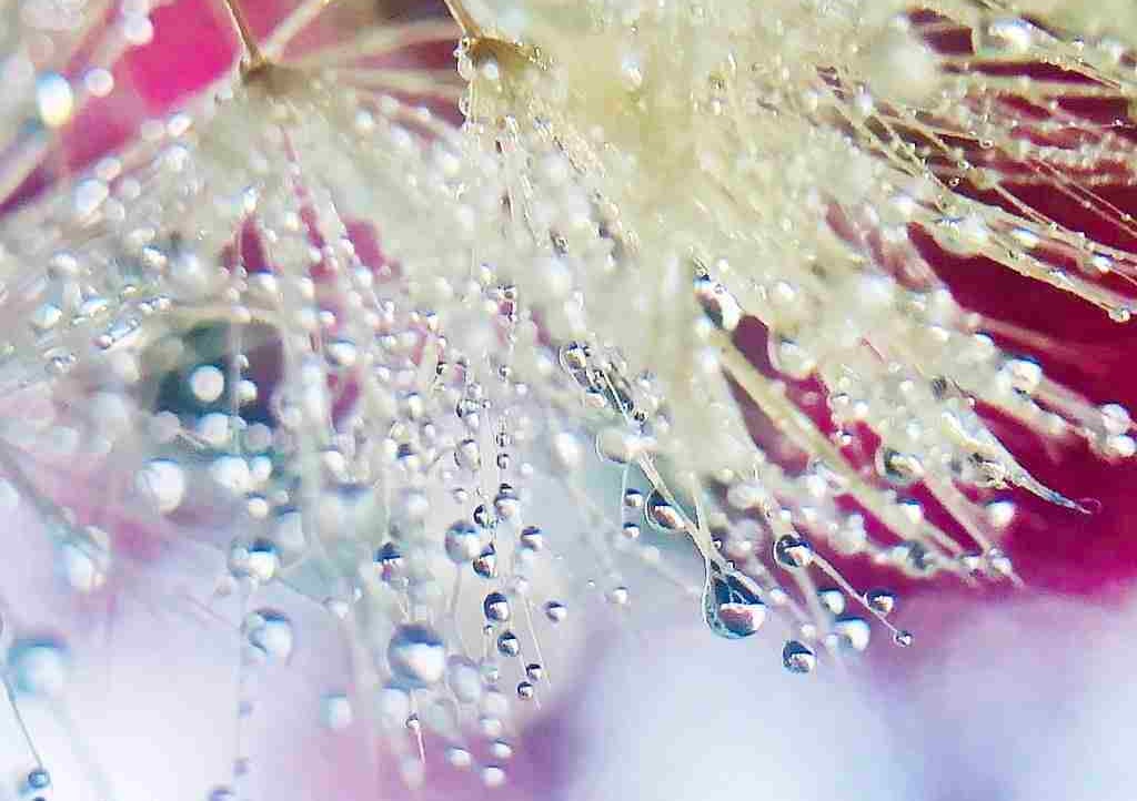 Dr Lee White (gerard18) Farcaster social identity (Fname handle) PFP