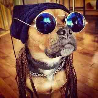 g4yfromru551a.lens Lens social identity (.lens handle) PFP