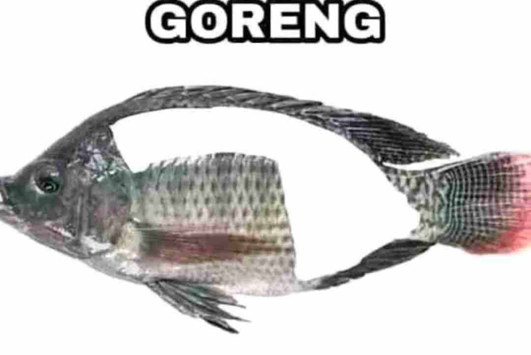 Badrus pfp