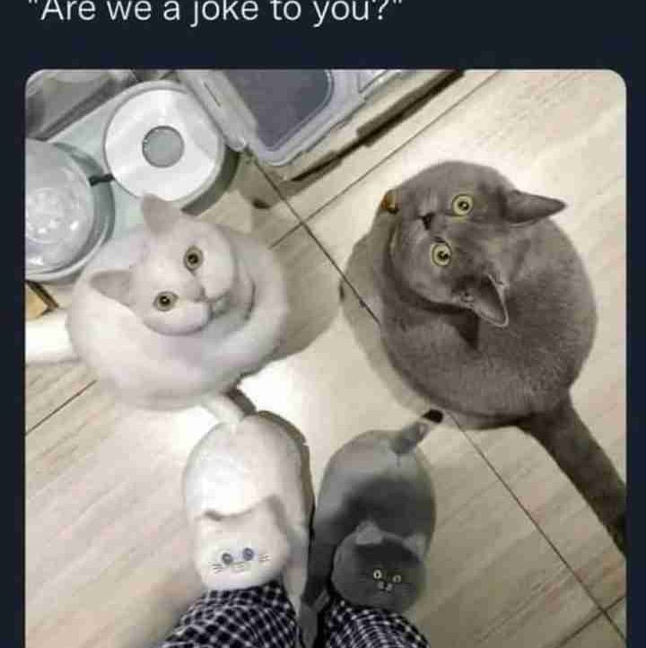 INI MOSES (dazzle247.lens) Lens social identity (.lens handle) PFP