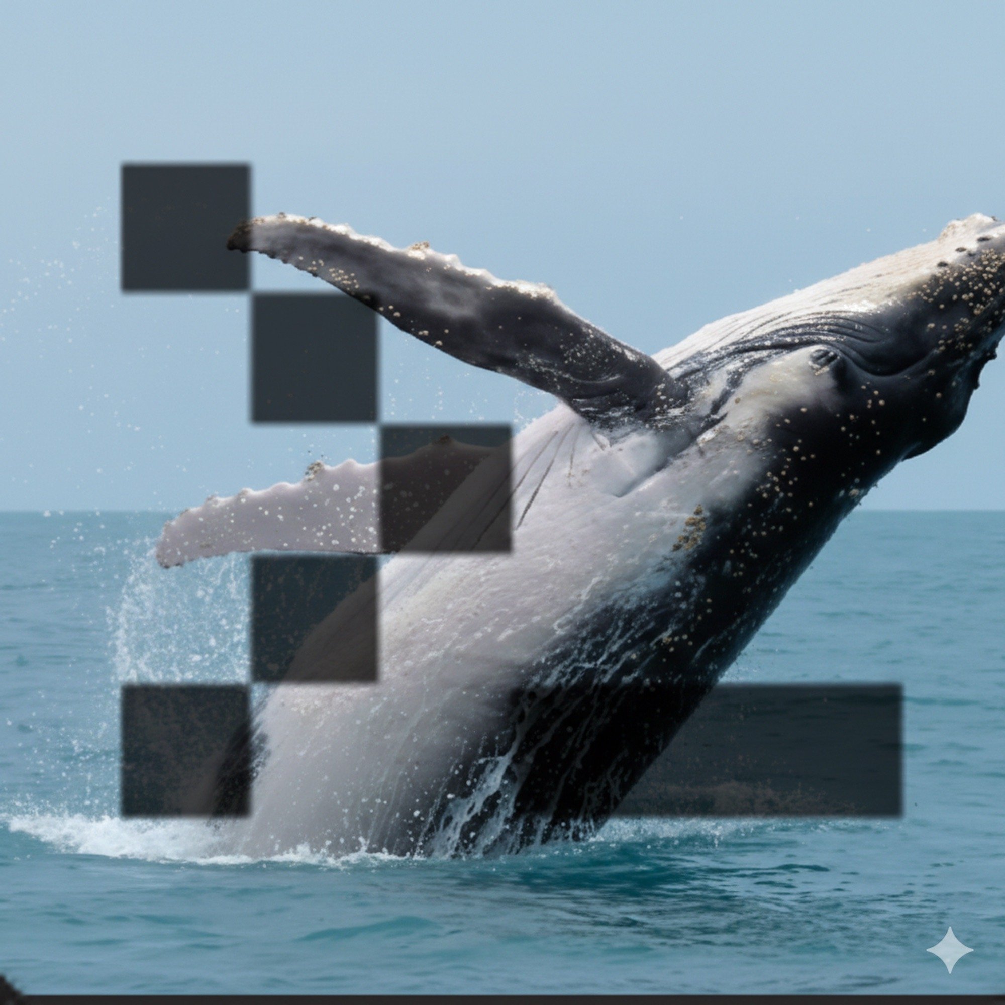Conway Whale