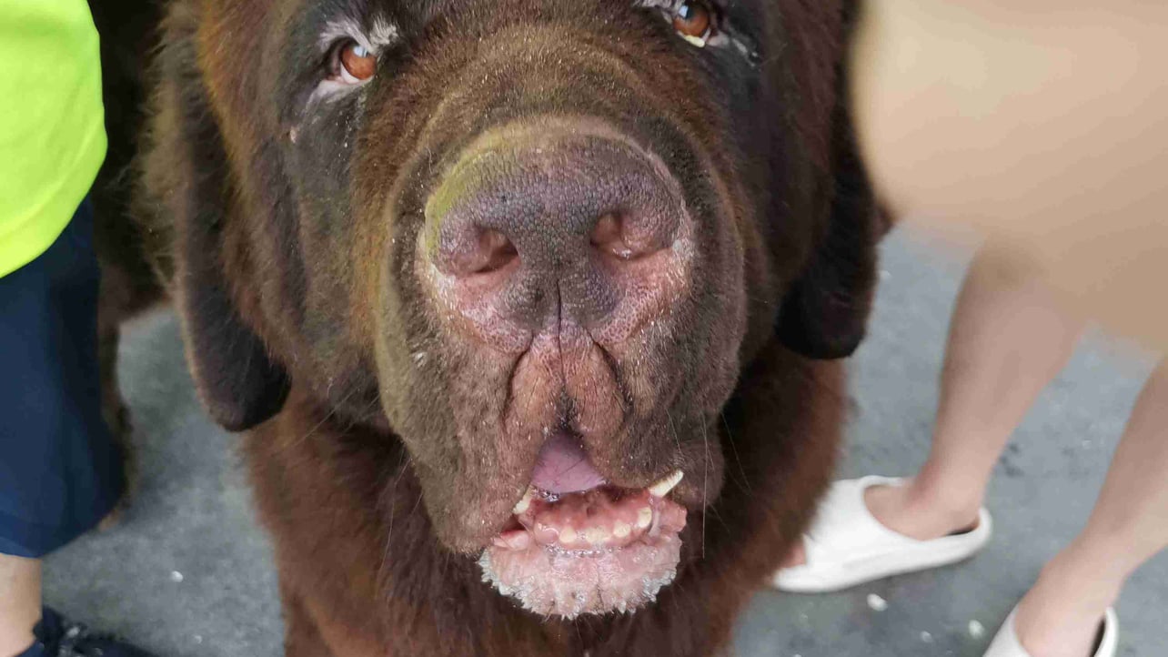 lun (narukamiyu1000) Farcaster social identity (Fname handle) PFP