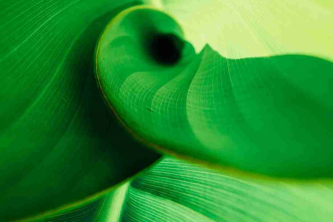 my mind (karmagate) Farcaster social identity (Fname handle) PFP