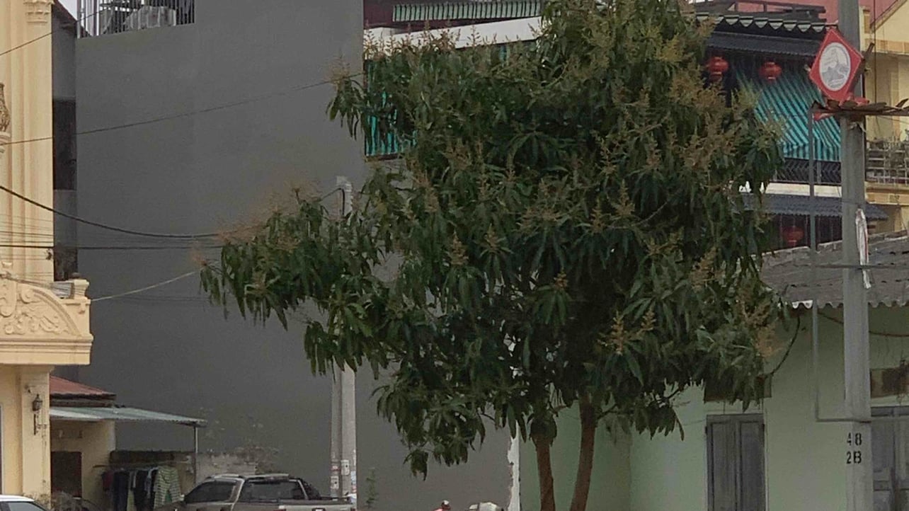 Baotien (baotien) Farcaster social identity (Fname handle) PFP