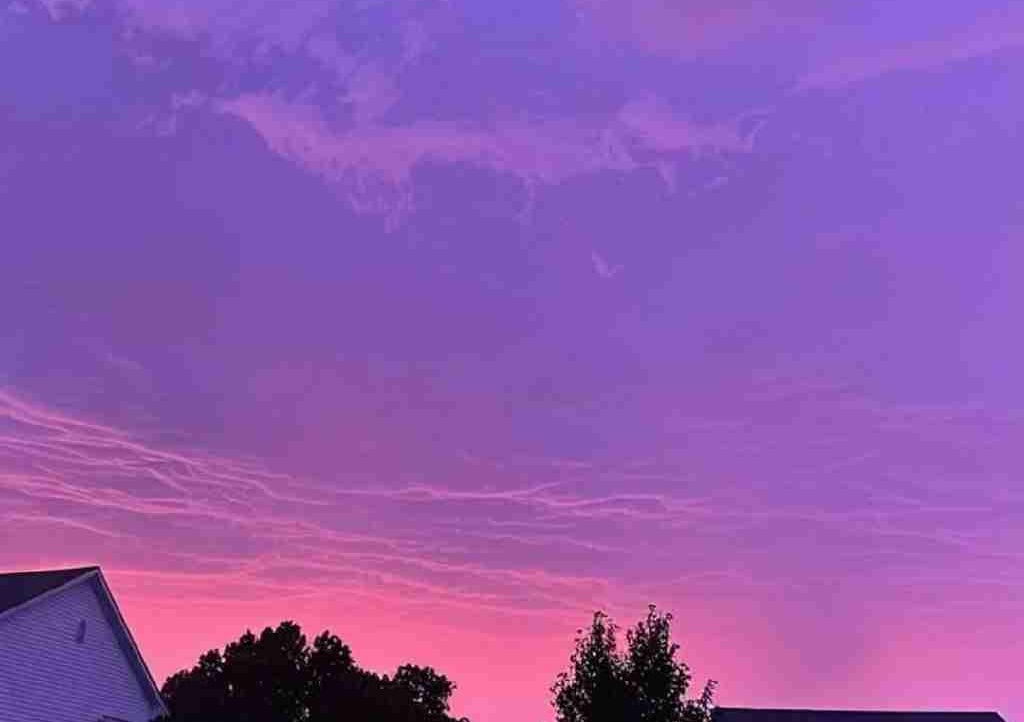 gramx (gramx.lens) Lens social identity (.lens handle) PFP