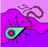 klaohul92 pfp