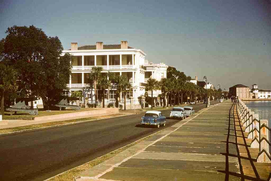 Bianka Rozumek (gajabernard) Farcaster social identity (Fname handle) PFP