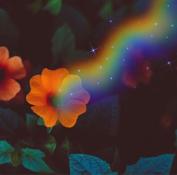 humblemcgeal.lens Lens social identity (.lens handle) PFP