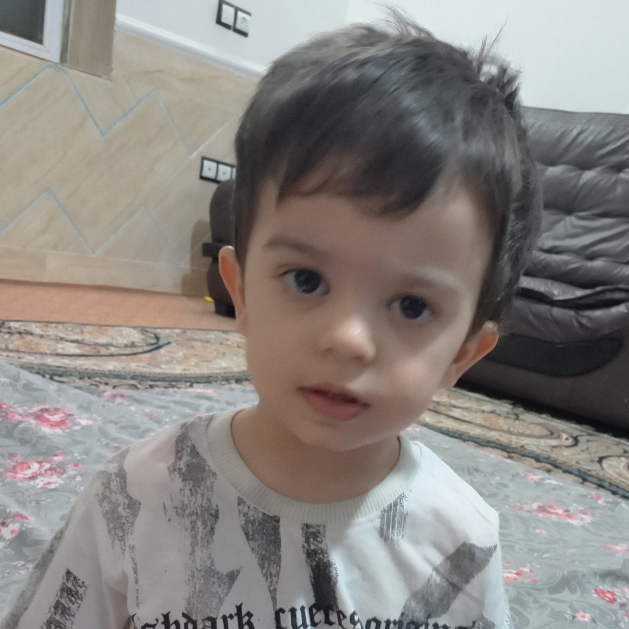 arshiya (sedeh.lens) Lens social identity (.lens handle) PFP