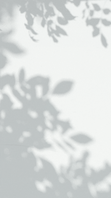 Embed from @jessepollak