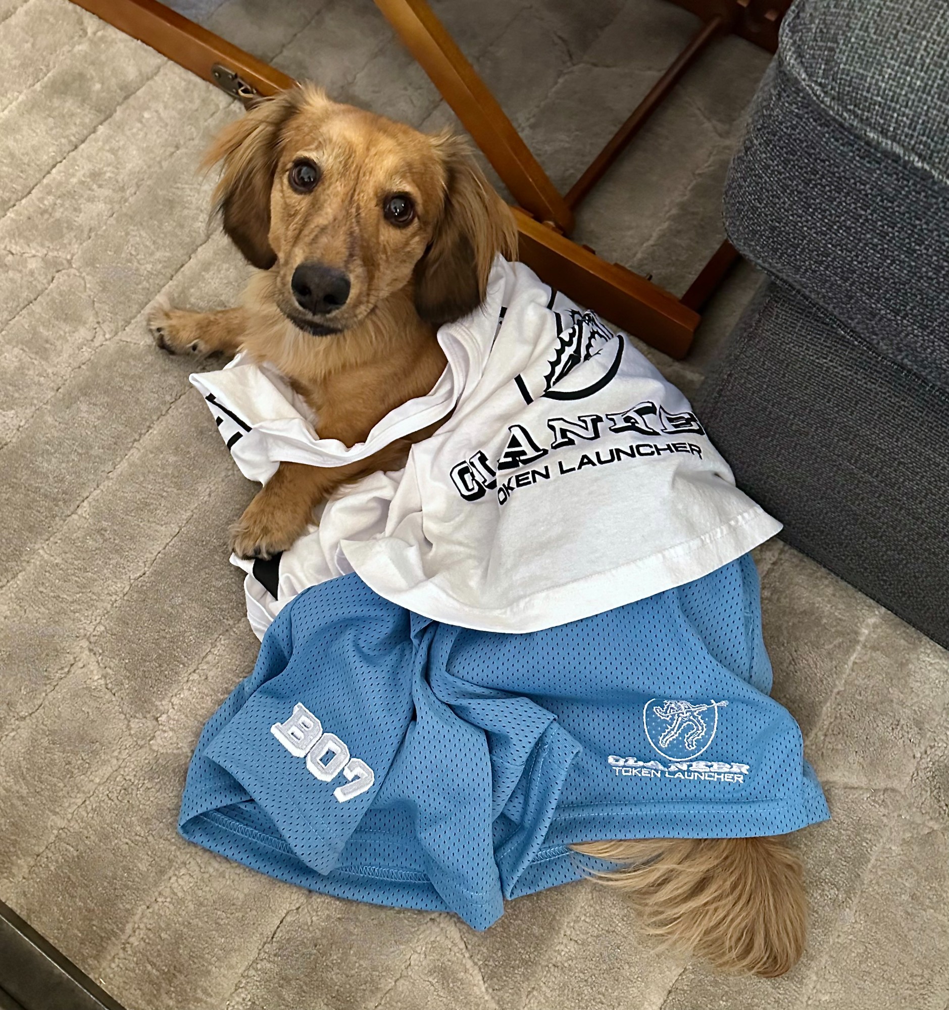 Embed from @bertwurst.eth