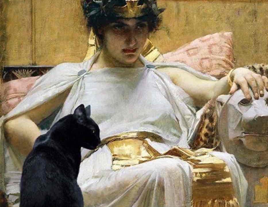 Sketchy (sketchy.lens) Lens social identity (.lens handle) PFP