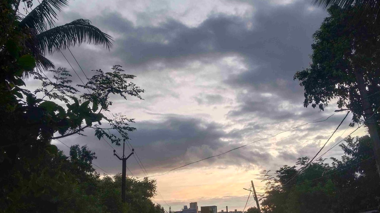 shizuka12.lens Lens social identity (.lens handle) PFP