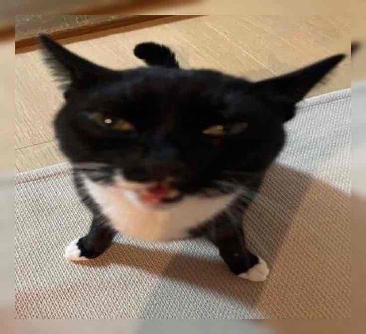 Pots pfp