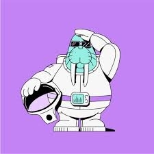 Sifat Hossain (bulbul918) Farcaster social identity (Fname handle) PFP