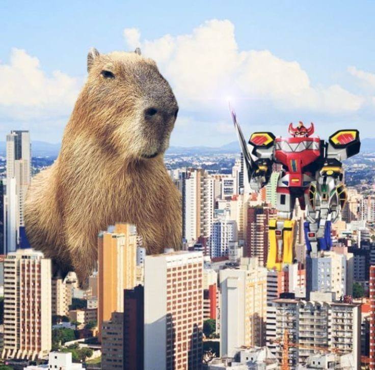 pelyajwhtp.lens Lens social identity (.lens handle) PFP