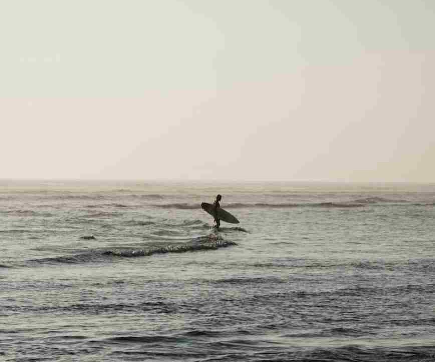 jennife71664345.lens Lens social identity (.lens handle) PFP