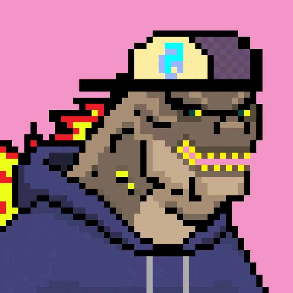 amyralahsas (amyralahsas.lens) Lens social identity (.lens handle) PFP