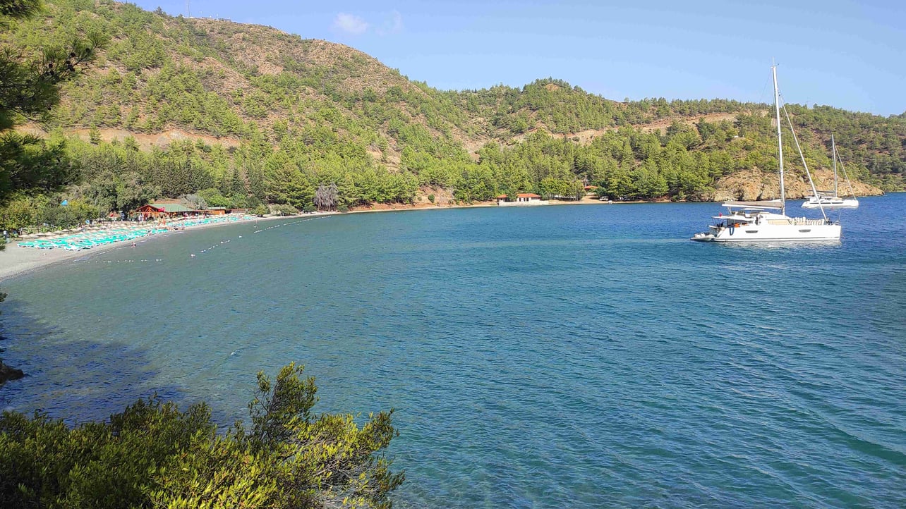 Mehmet Can (mcand) Farcaster social identity (Fname handle) PFP