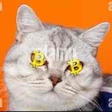 Emirhan Arseven (arseven61.lens) Lens social identity (.lens handle) PFP