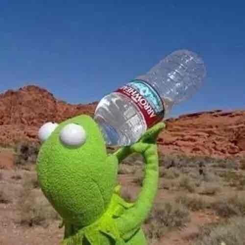 ufydyd.lens Lens social identity (.lens handle) PFP