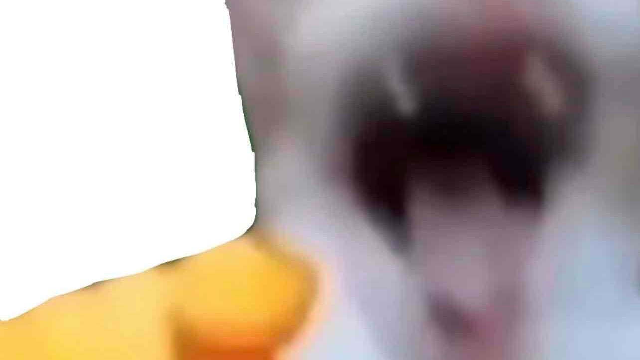 Egg666 π© pfp
