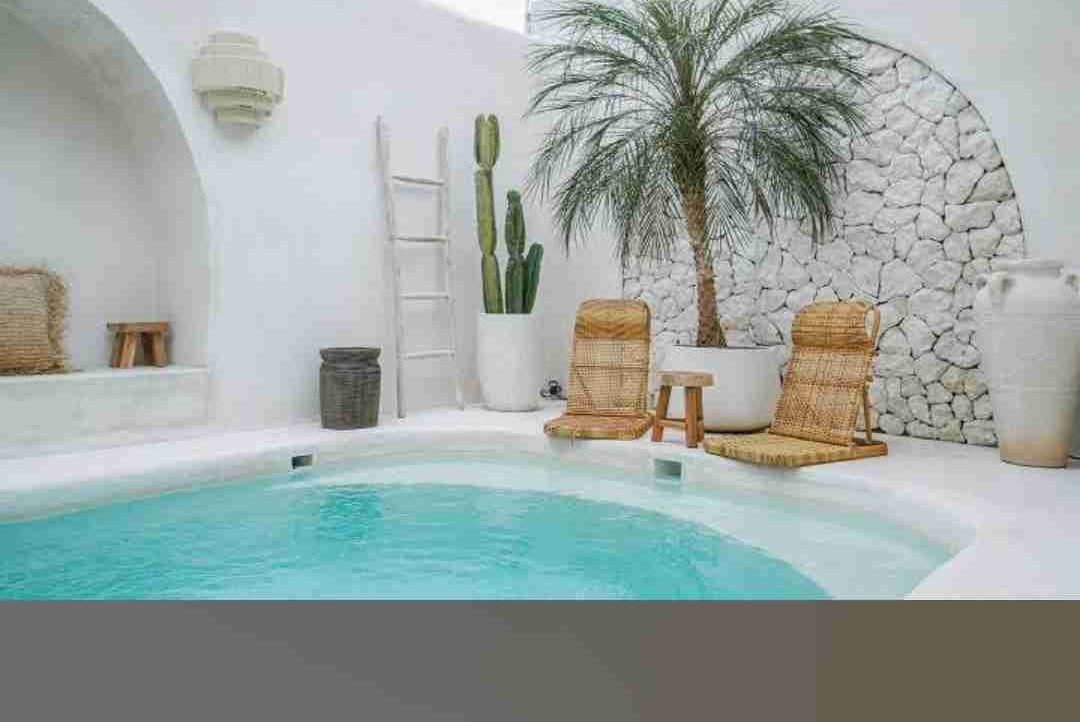 Penny Banks (freematic.lens) Lens social identity (.lens handle) PFP