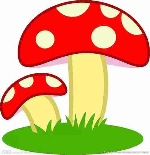 https://imagedelivery.net/BXluQx4ige9GuW0Ia56BHw/8b5d5440-b959-4cdc-a467-5cb37600e400/original