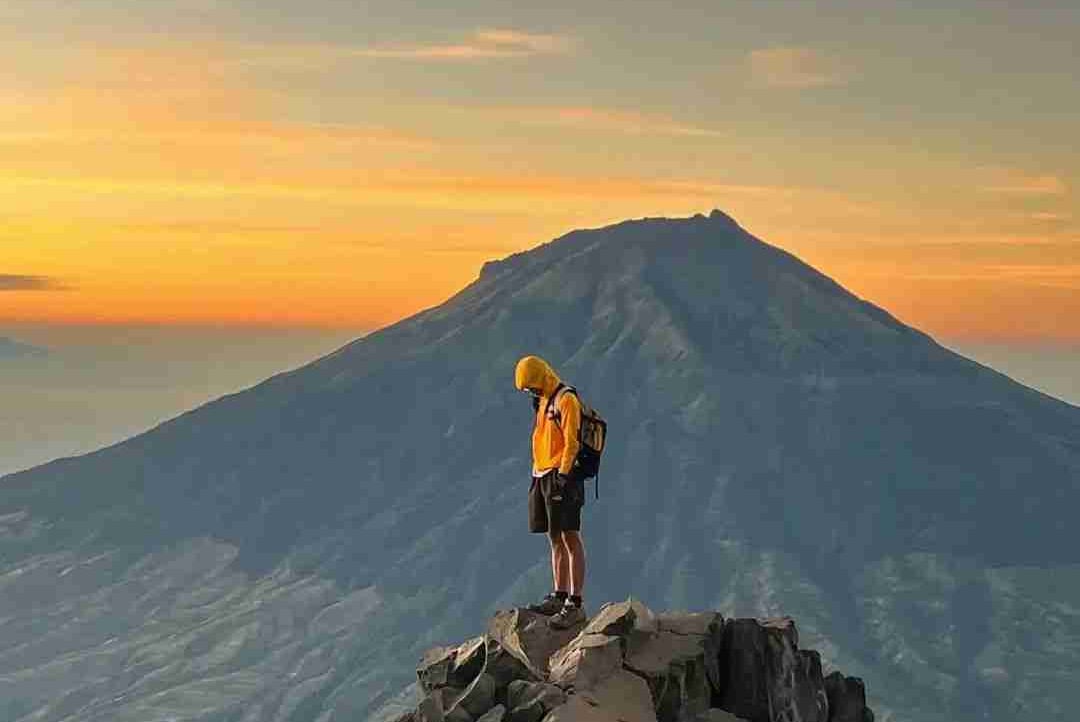 Johnny Sims (mybnb.lens) Lens social identity (.lens handle) PFP