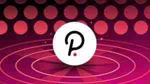 Verani Sapo (verano) Farcaster social identity (Fname handle) PFP