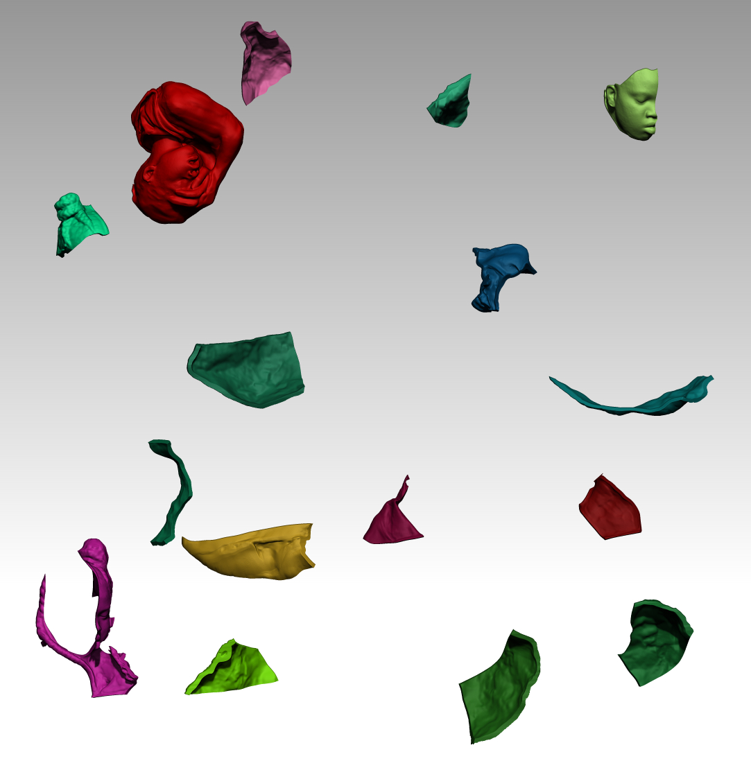 Cast image