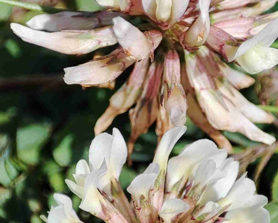 utkubaseth.base.eth Basenames (.base.eth domains) based on ENS PFP