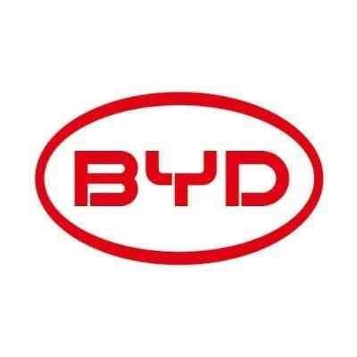 Byd pfp