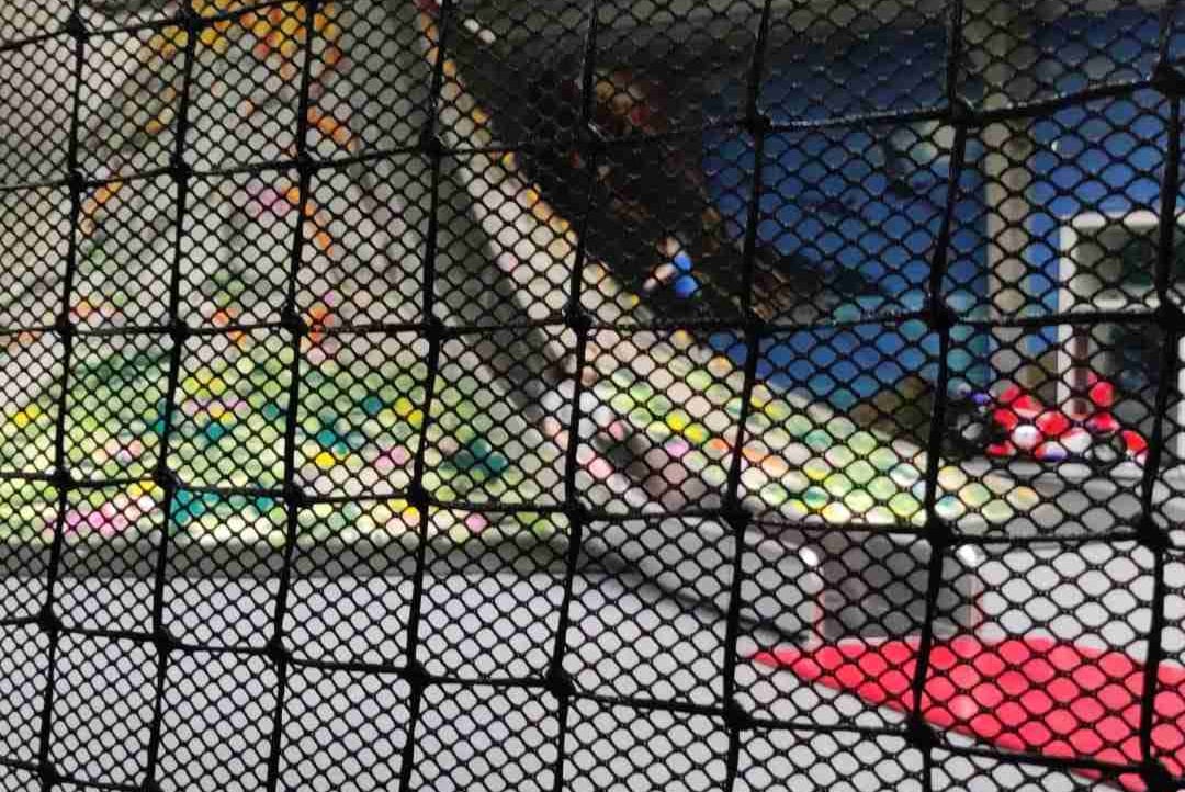 Adam (wisnia) Farcaster social identity (Fname handle) PFP