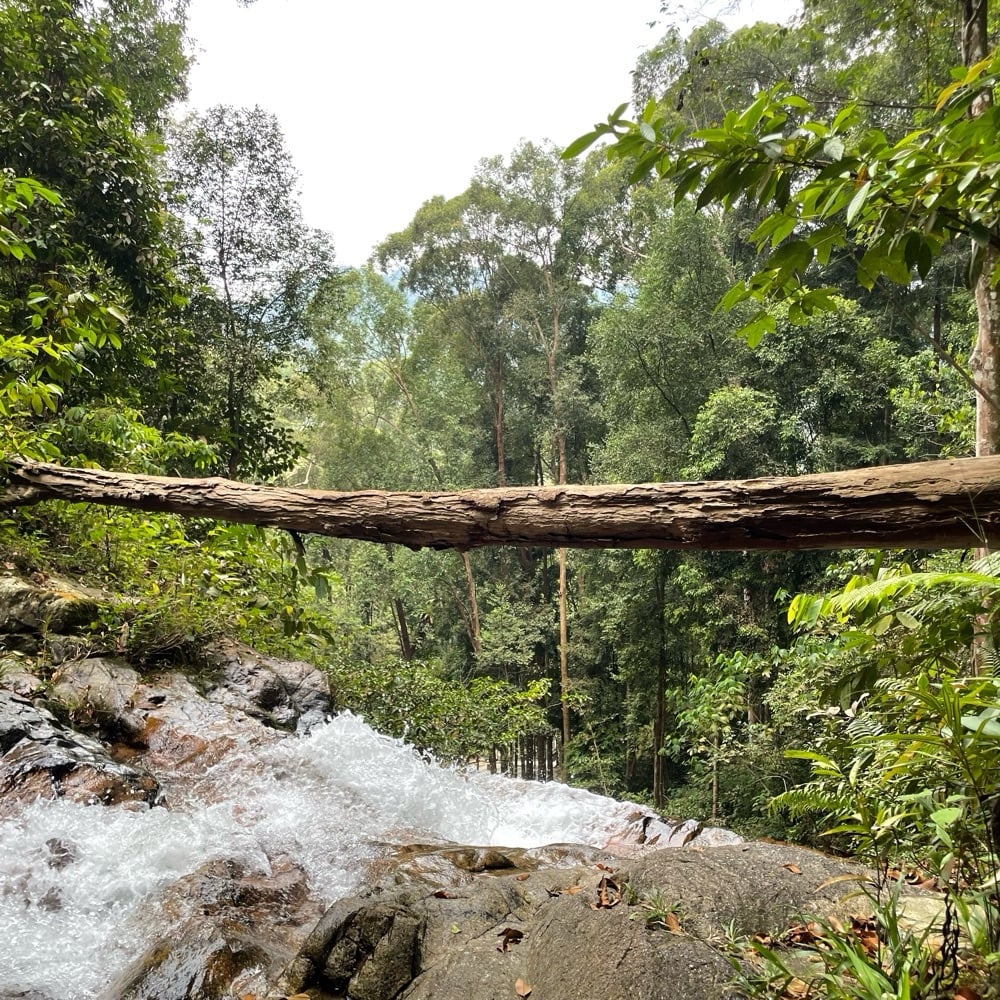 VitoBbb (vitobbb) Farcaster social identity (Fname handle) PFP