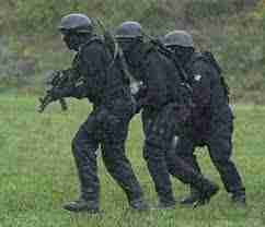 gobertfred.lens Lens social identity (.lens handle) PFP