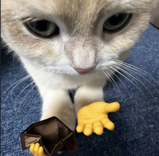 the nugget