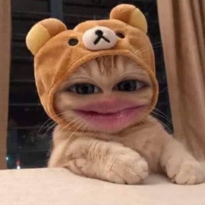 Base Mango pfp