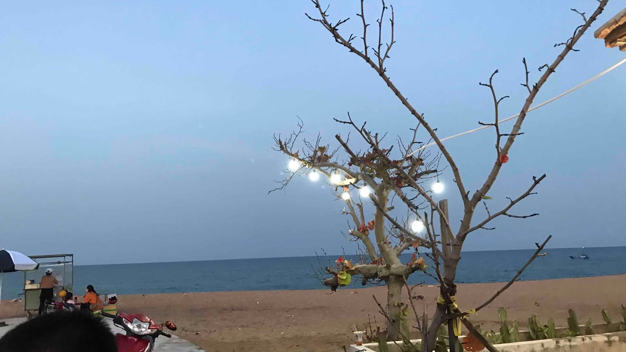 tungchuan.lens Lens social identity (.lens handle) PFP