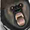 MurateraSpiderha pfp