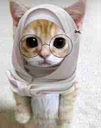 xianos Farcaster social identity (Fname handle) PFP