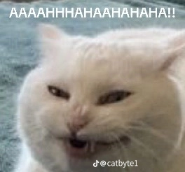 williamjack.lens Lens social identity (.lens handle) PFP