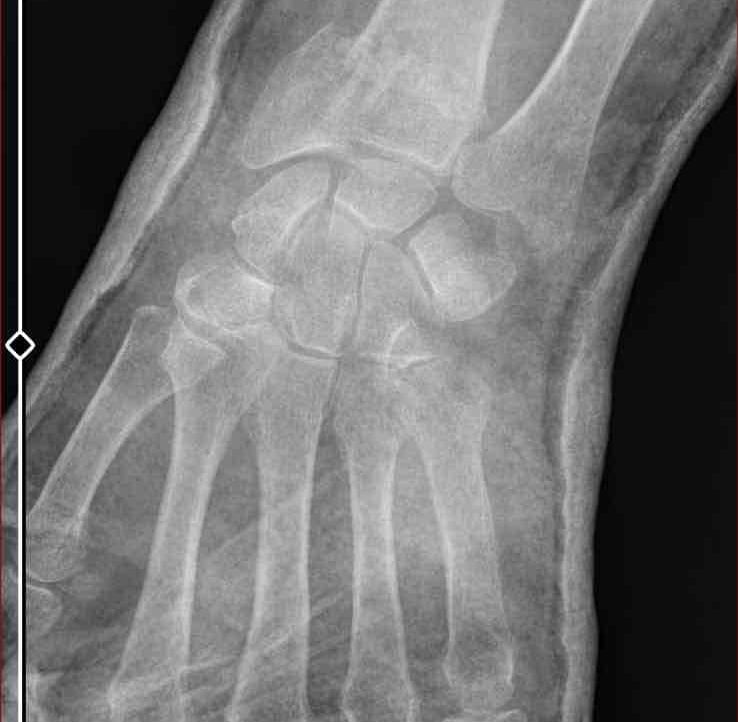 Selami (spenks.lens) Lens social identity (.lens handle) PFP